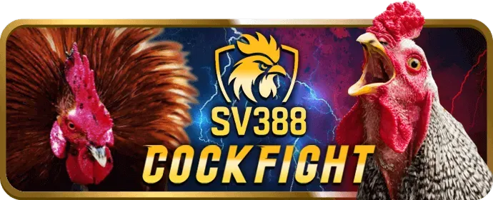 Các môn thể thao khác tại MMO88 Login